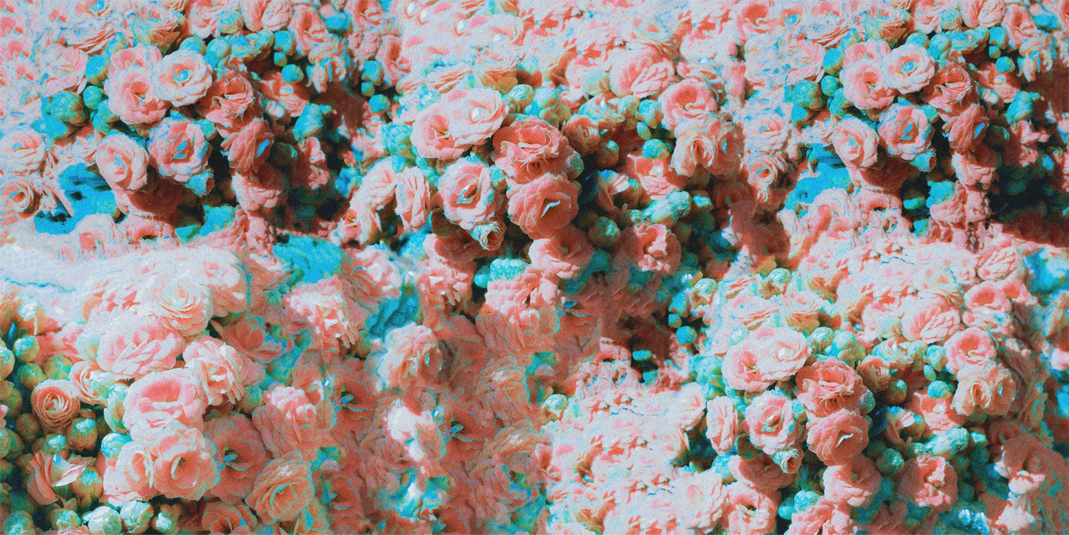 A vibrant, abstract digital artwork featuring a blend of colorful flowers and jellyfish-like shapes, creating a whimsical and dreamy atmosphere.