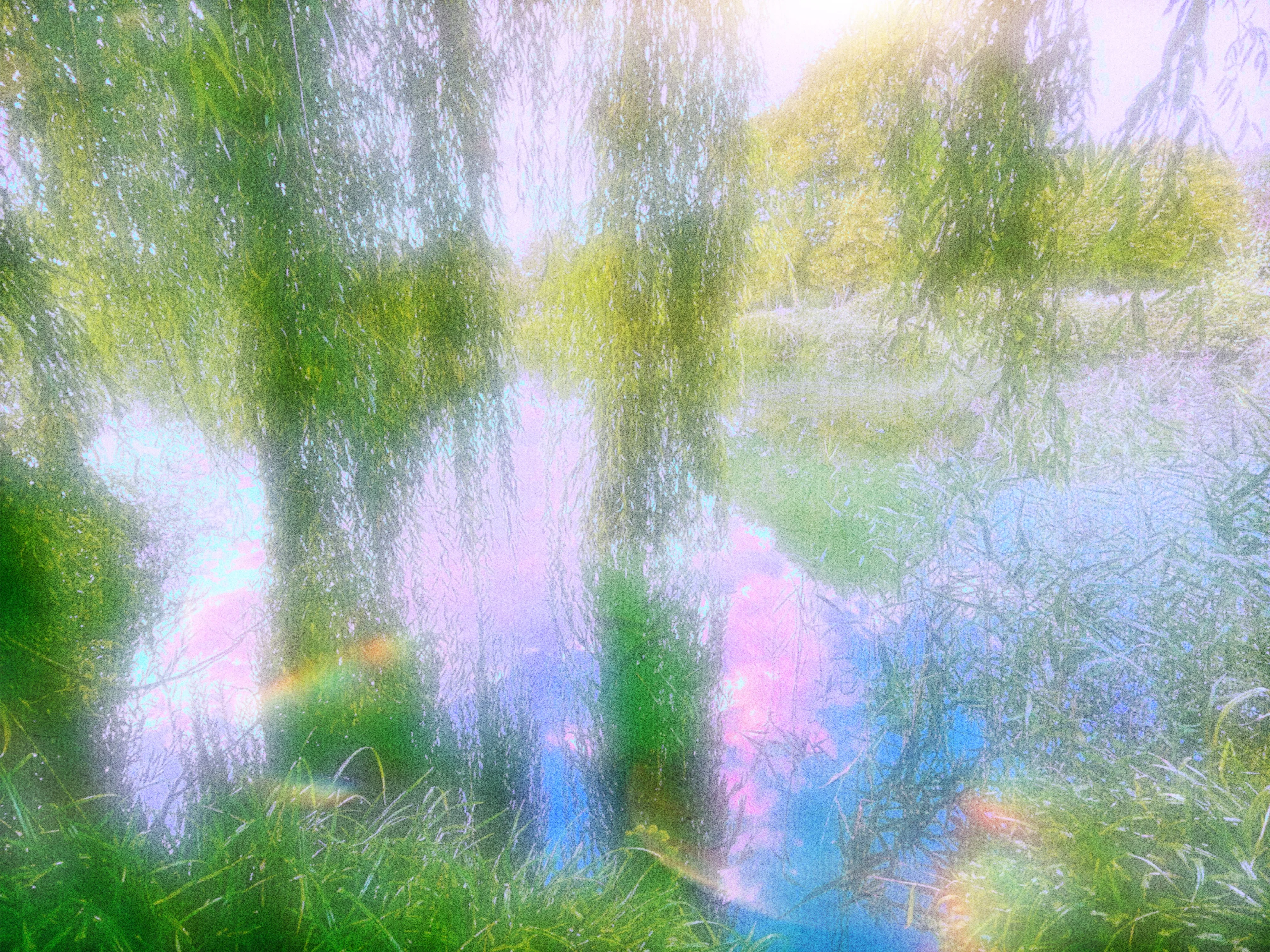 A soft-focused image of a serene pond surrounded by lush greenery and willow trees, reflecting pastel colors in the water.