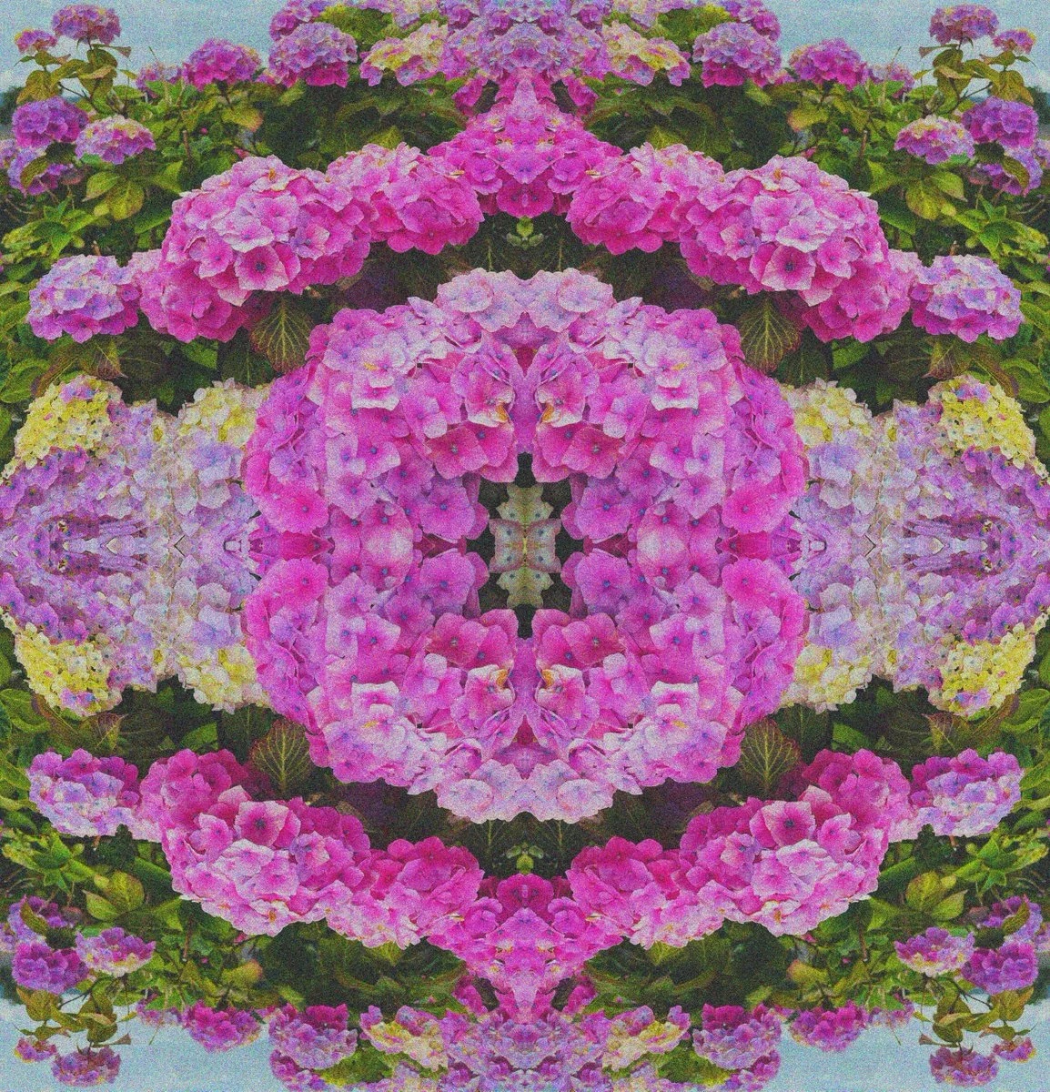 A vibrant, symmetrical pattern featuring pink and purple hydrangeas surrounded by greenery.